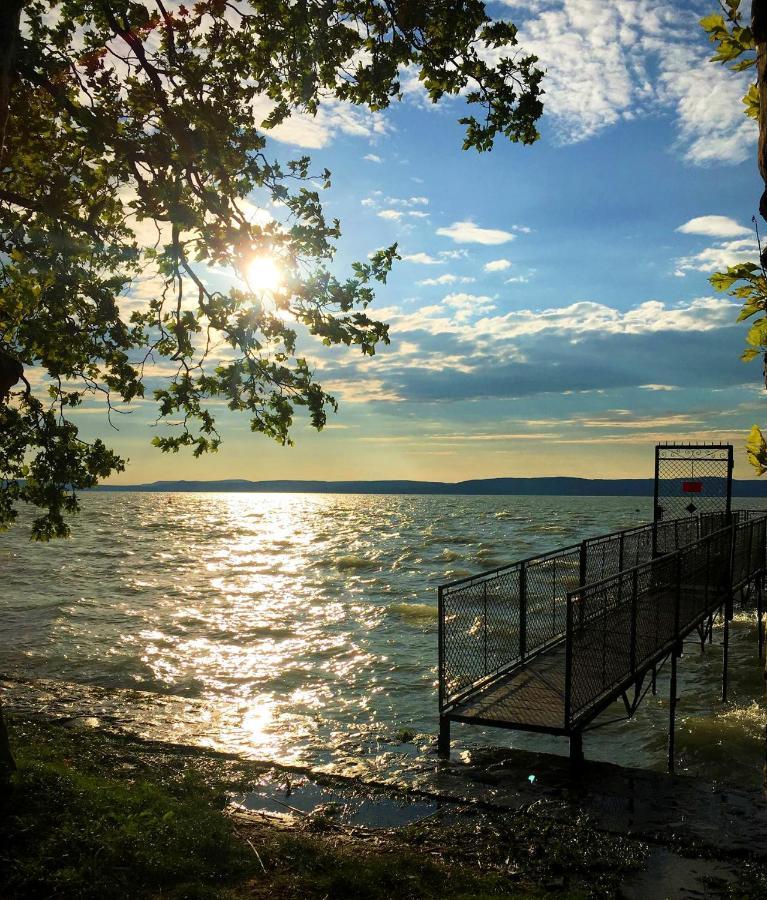 Party Villa Holiday Rent Balatonföldvár Εξωτερικό φωτογραφία
