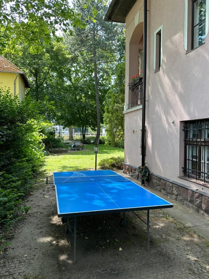 Party Villa Holiday Rent Balatonföldvár Εξωτερικό φωτογραφία